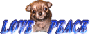 LOVE&PEACE